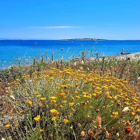 Apartment Bianca Premantura Istrien Εξωτερικό φωτογραφία