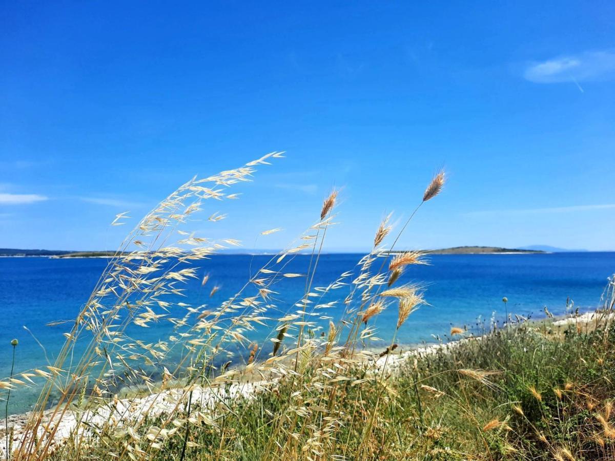 Apartment Bianca Premantura Istrien Εξωτερικό φωτογραφία